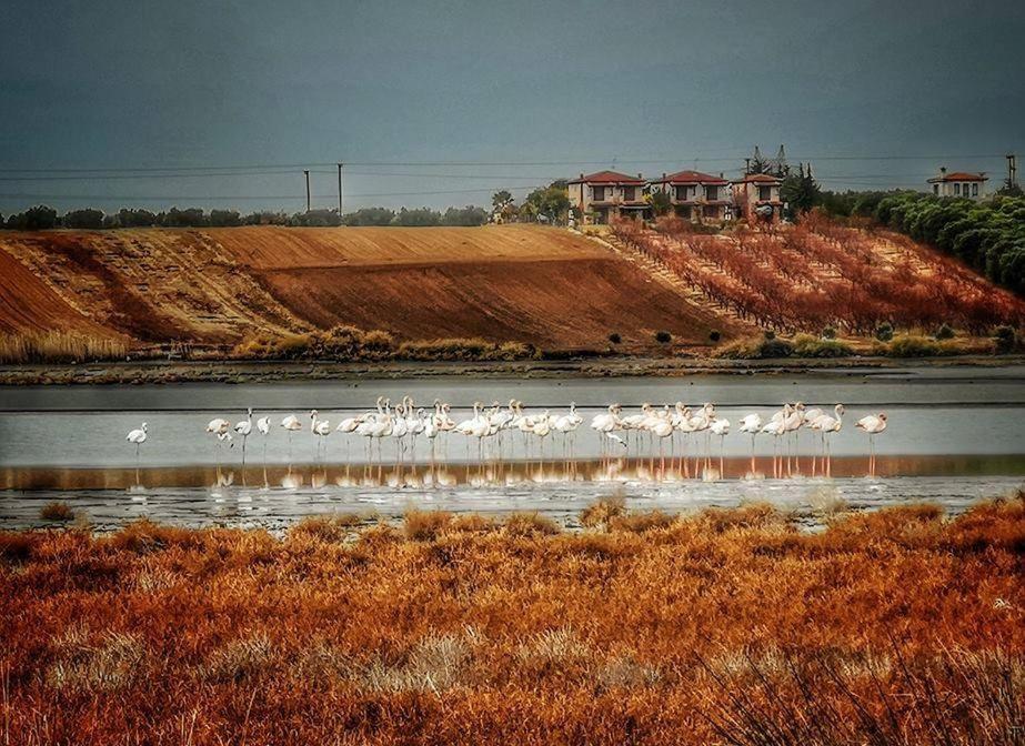Дом отдыха Lagoon House *